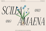 Papike Pixel, a Serif Font by Craft Supply Co. (Thumbnail 6 of 8)
