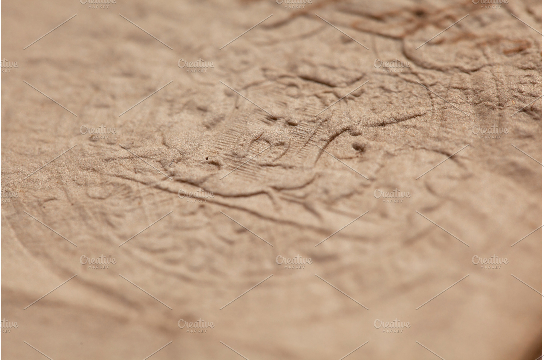 Detailed shot highlighting the, a Background Photo by Rohan Photography