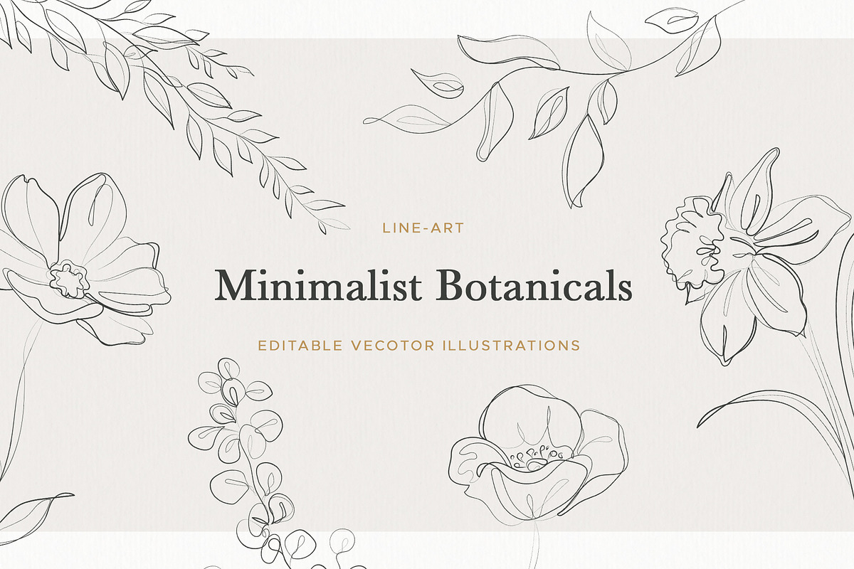 Minimalist Botanical Drawings, an Illustration by amber&ink (Photo 1 of 5)