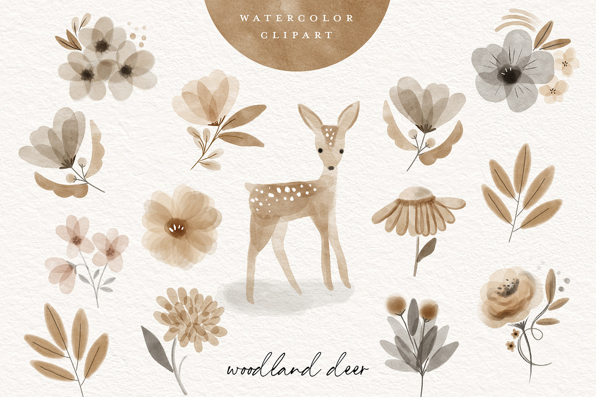 64 Boho Woodland Animal Clipart, an Animal Illustration by beatriceviyiwi (Photo 4 of 6)