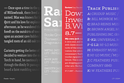 Faraon, a Slab Serif Font by Latinotype (Thumbnail 3 of 15)