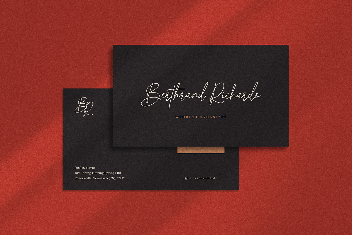 Gradientine Signature, a Script Font by MJB Letters (Photo 5 of 10)