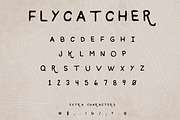 Flycatcher Font, a Sans Serif Font by Flycatcher Design (Thumbnail 2 of 4)