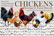 Watercolor Chicken Breeds Clipart, an Animal Illustration by FineArt (Thumbnail 1 of 11)