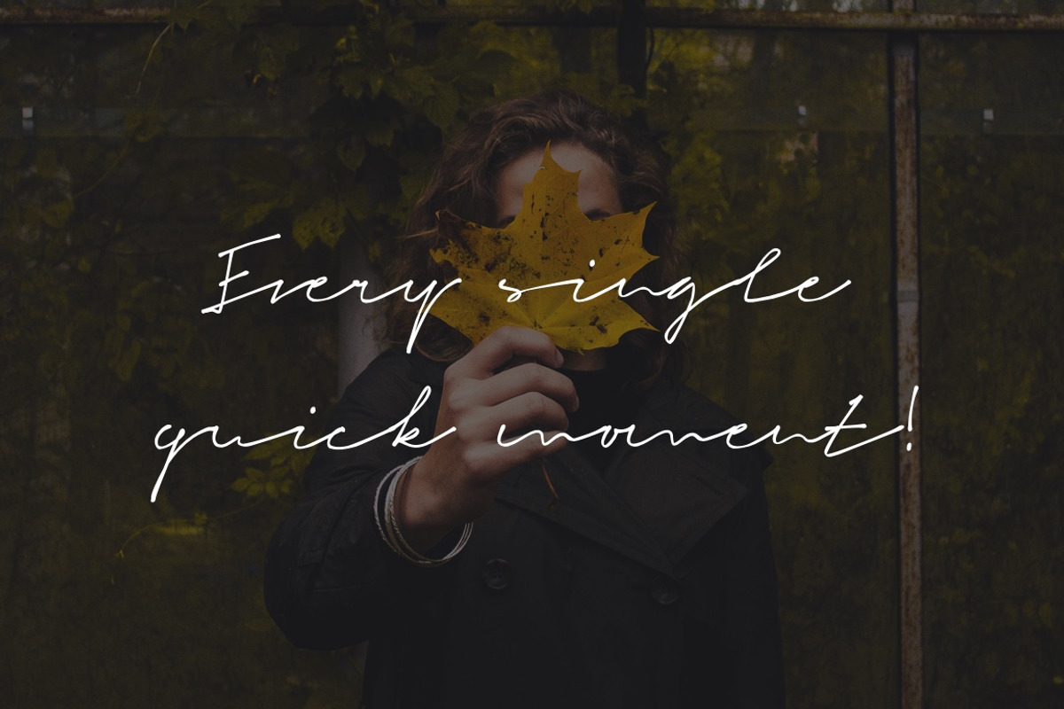 Signeton Signature Font preview 2