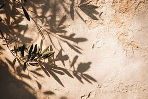 Summer Shadow of Olive Tree on Stone, a Background Photo by Virgo Studio