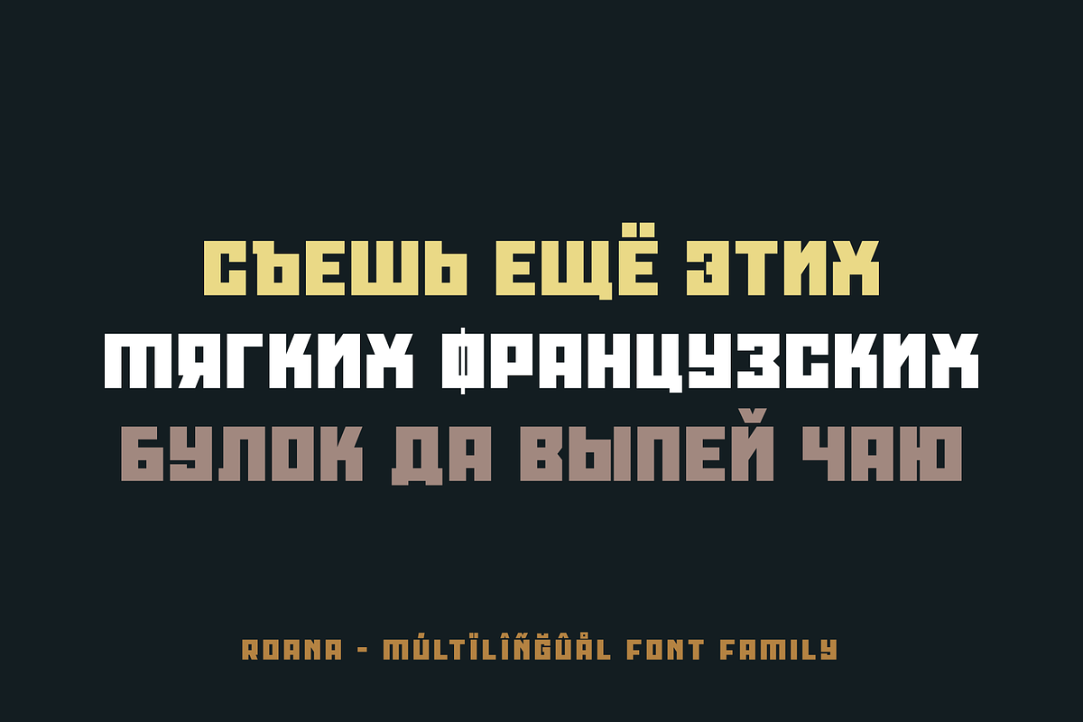 Roana Expressive Typeface