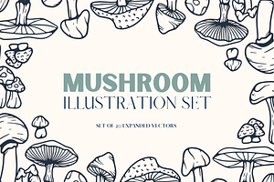 Wild Mushroom - Vector Illustrations