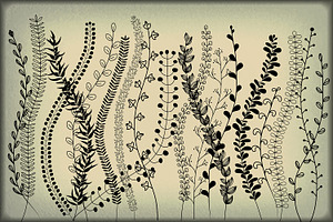 30 Vegetal Illustrator Brushes