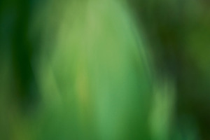 Blurry green and yellow abstract nature background with soft col