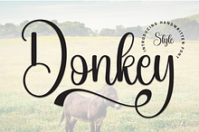 Donkey | Script Font