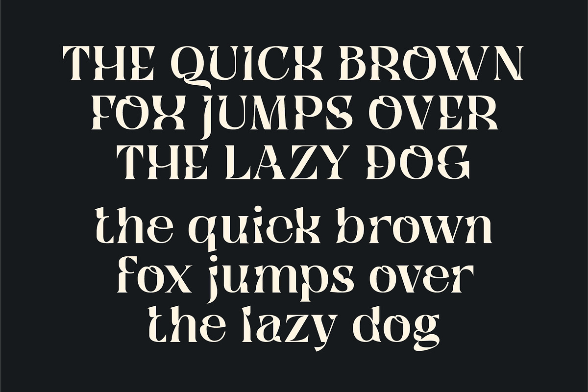 Qyore – Elegant Modern Serif, a Serif Font by Nollev (Photo 7 of 9)