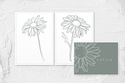 Daisy clipart flower SVG PNG EPS, a Decorative Illustration by DamriNa art (Thumbnail 4 of 5)