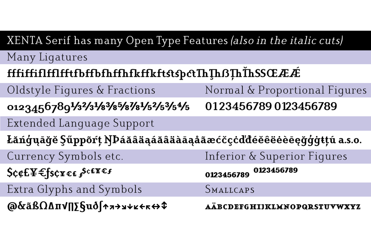Xenta Serif fonts, a Serif Font by Wiescher Design (Photo 8 of 8)