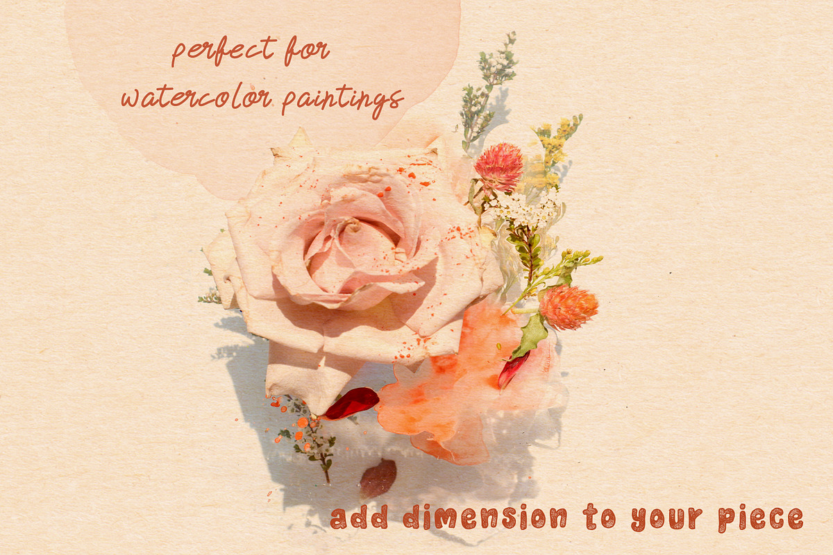Crafty Delicate Watercolor Paper Set, a Texture Graphic by Liquid Amethyst Art (Photo 4 of 7)