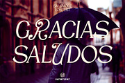 VT Salemore Longest Font Combination, a Serif Font by ViactionType (Thumbnail 13 of 13)