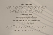 Kaleagnetta, a Handwritten Font by Integritype Studio (Thumbnail 9 of 15)