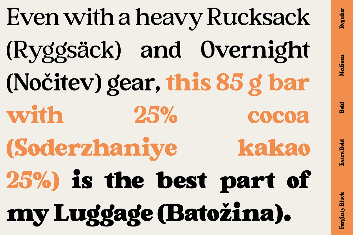 Forginty Serif Font, a Serif Font by Madjack.font (Photo 3 of 13)