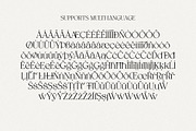 Spadore | 6 Font Files, a Serif Font by Pista Mova (Thumbnail 13 of 18)