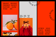 Rigidon Mono Serif Monospace Font, a Serif Font by Rasio Studio (Thumbnail 6 of 9)
