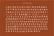 Newburgh Family, a Serif Font by Maison Octave (Thumbnail 10 of 10)