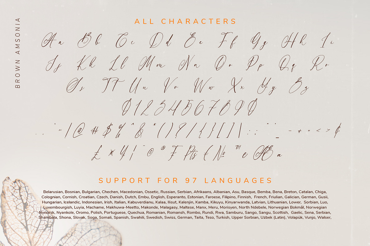 Brown Amsonia, a Script Font by Nathatype (Photo 9 of 10)