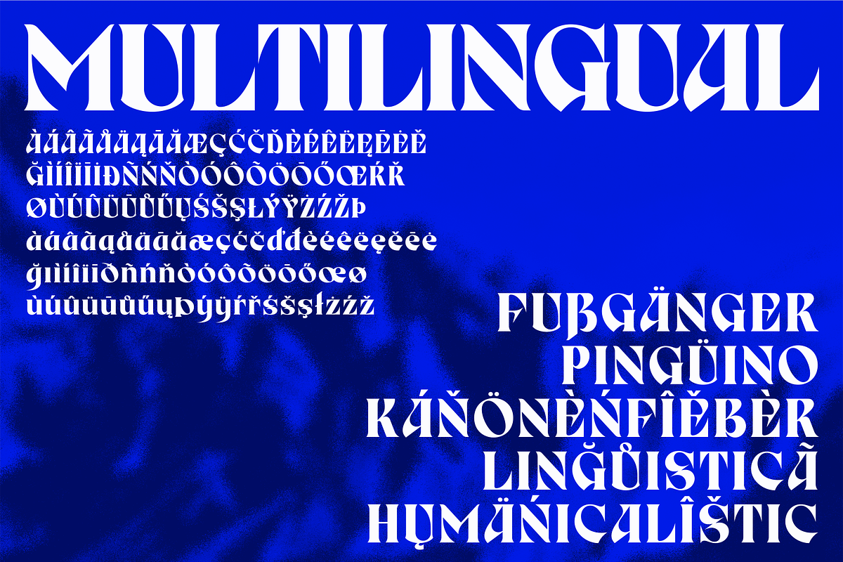 Birvase Display Font, a Serif Font by Bagerich Type Foundry (Photo 8 of 12)