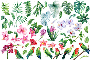 Lovebird Parrots And Tropical Leaves