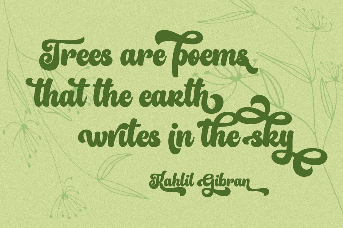 Haya, a Script Font by Eurotypo (Photo 2 of 5)