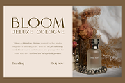 Paseon Simple & Stylish Serif Font, a Serif Font by BOOSH Studio (Thumbnail 4 of 13)