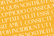 Bravillie - Serif Typeface Font, a Serif Font by Rishsketch (Thumbnail 12 of 15)