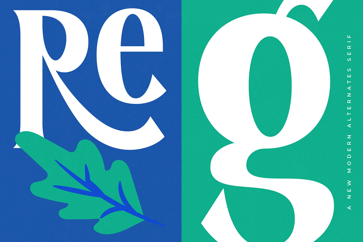 Regolvis Modern Display Serif, a Serif Font by timelesstype.co (Photo 3 of 20)