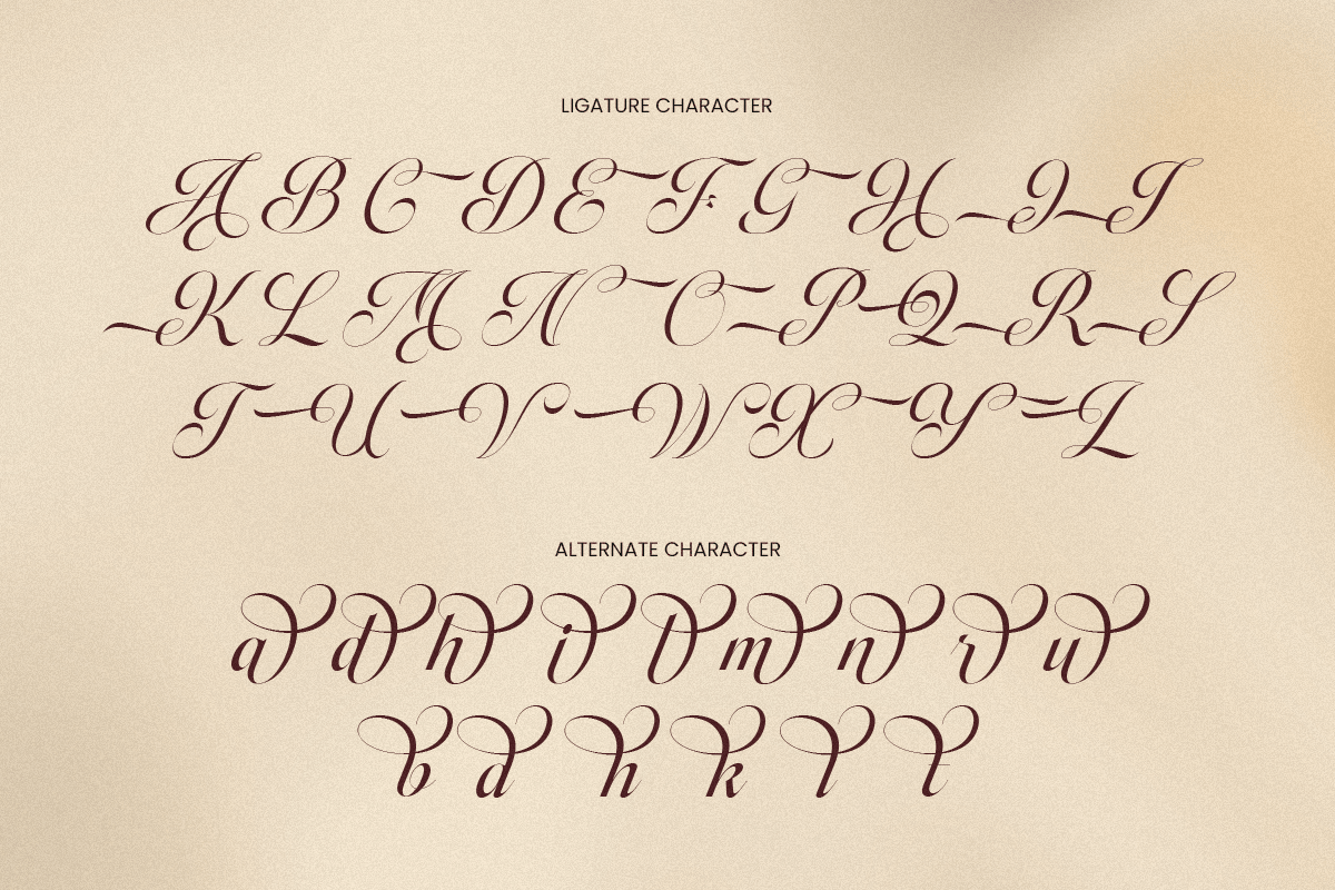 Amoura - Elegant Luxury Script Font, a Script Font by Sensatype (Photo 12 of 13)