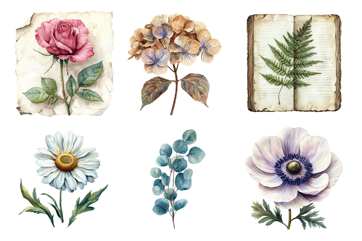 Vintage Botanical Paper Clipart PNG, an Illustration by SinaCreation (Photo 3 of 5)