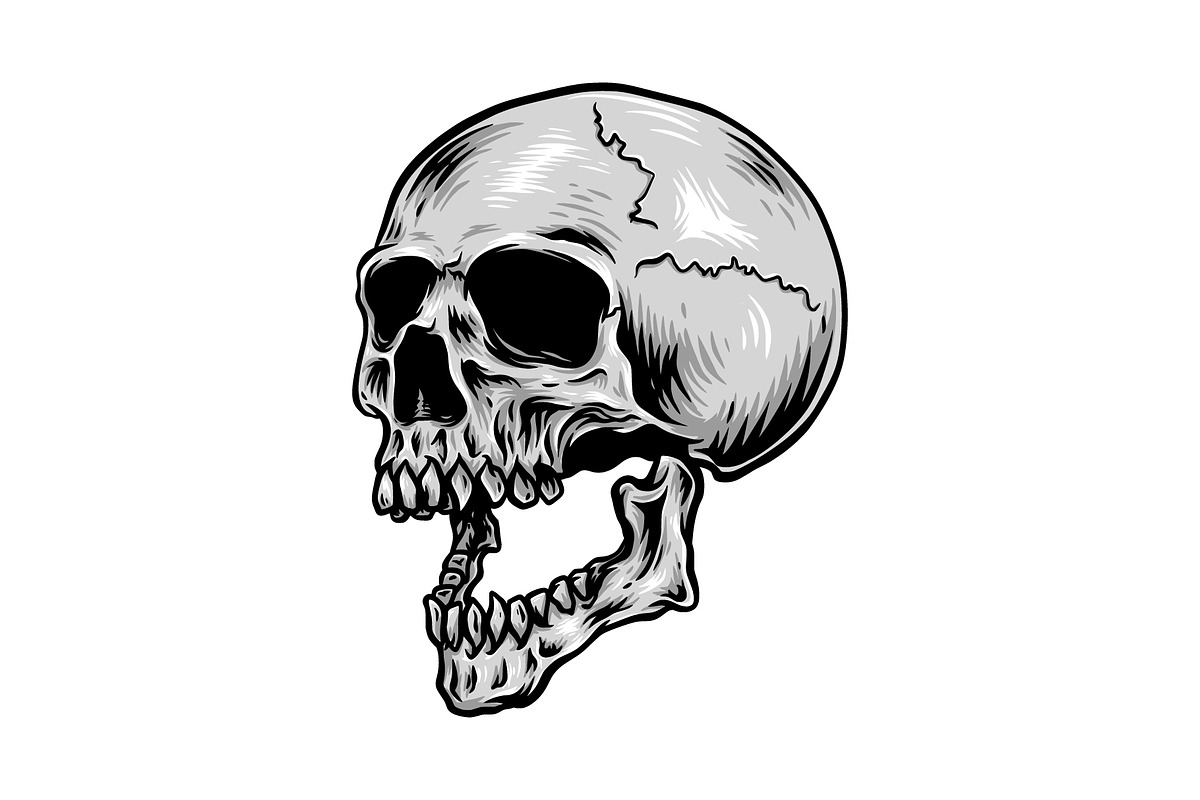 Skull Drawing Side View Illustration, an Object Illustration by zdson (Photo 2 of 3)