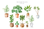 Bohemian House Watercolor Set, an Animal Illustration by Natalia Fedorova (Thumbnail 14 of 21)