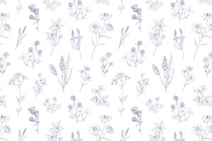 Wild Flowers Seamless Patterns