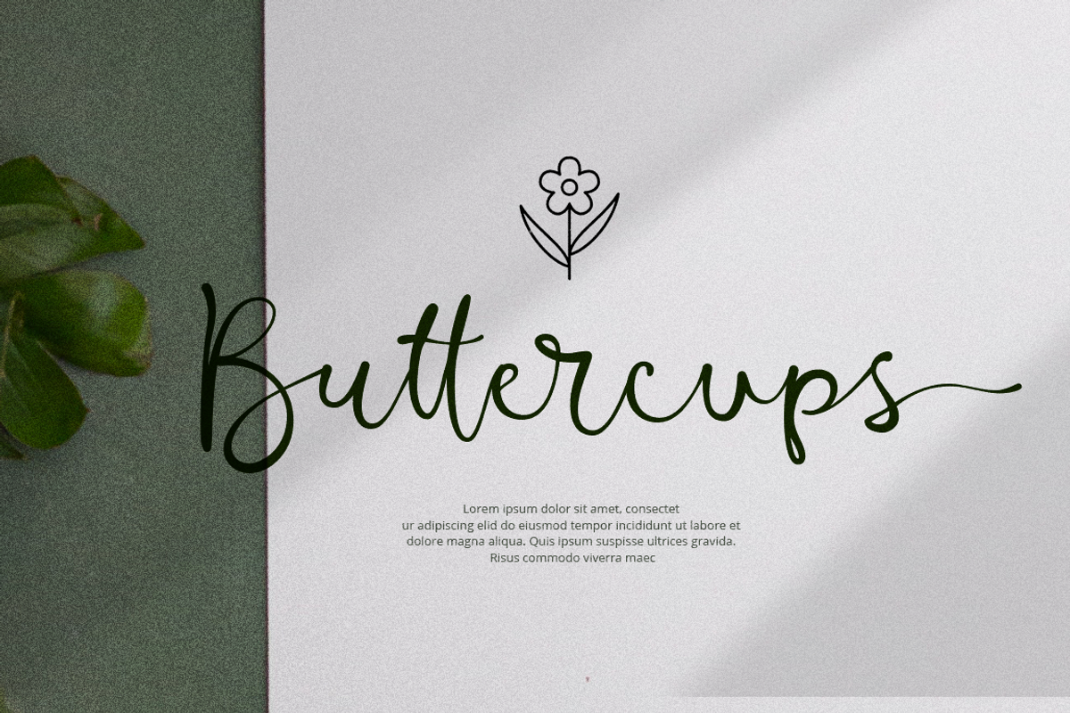 Barona Script - Handwriting Script, a Script Font by Afkari Studio (Photo 4 of 9)