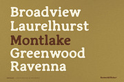 Northlake - A Rustic Serif Font, a Serif Font by Komet & Flicker (Thumbnail 9 of 15)
