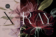X-Ray Flowers Watercolor, an Object Illustration by Olga Koelsch (Thumbnail 1 of 13)