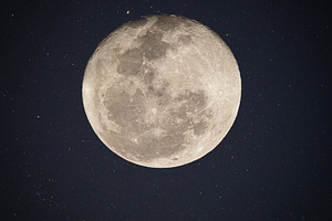 Full Moon, a Photo by Rob D Animal Photography