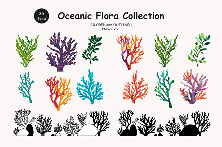 Algae & Coral Vector + Watercolor, an Object Illustration by IrenKlm