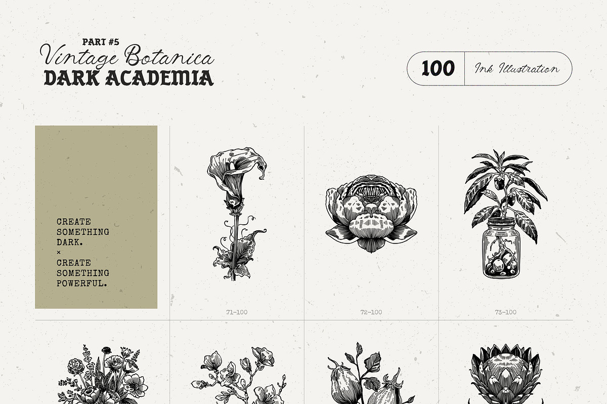 Dark Academia Flora | Illustration, an Object Graphic by KetteCreate (Photo 10 of 14)