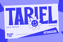 Tariel Bold Font