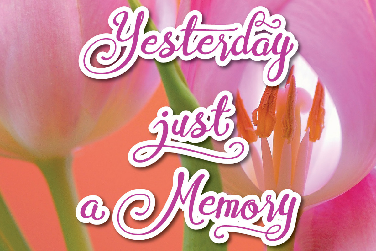 Cymbidium Italic preview 3