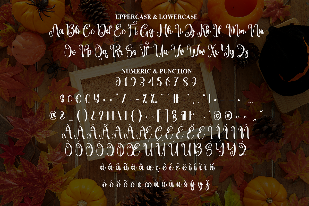 Autumn Birthday | Script Font, a Handwritten Font by Scratchones (Photo 7 of 9)
