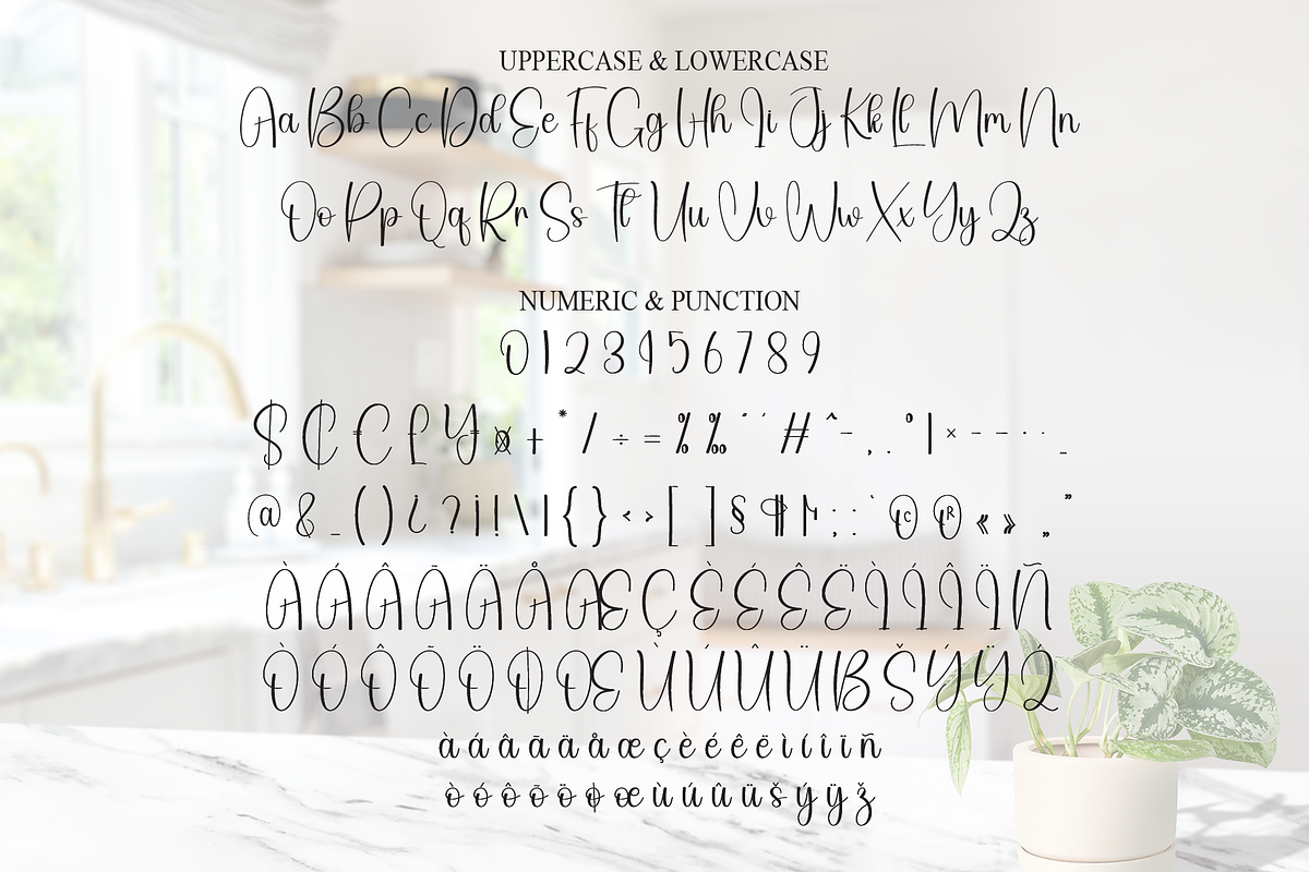 Kitchen | Script Font, a Handwritten Font by Scratchones (Photo 7 of 9)