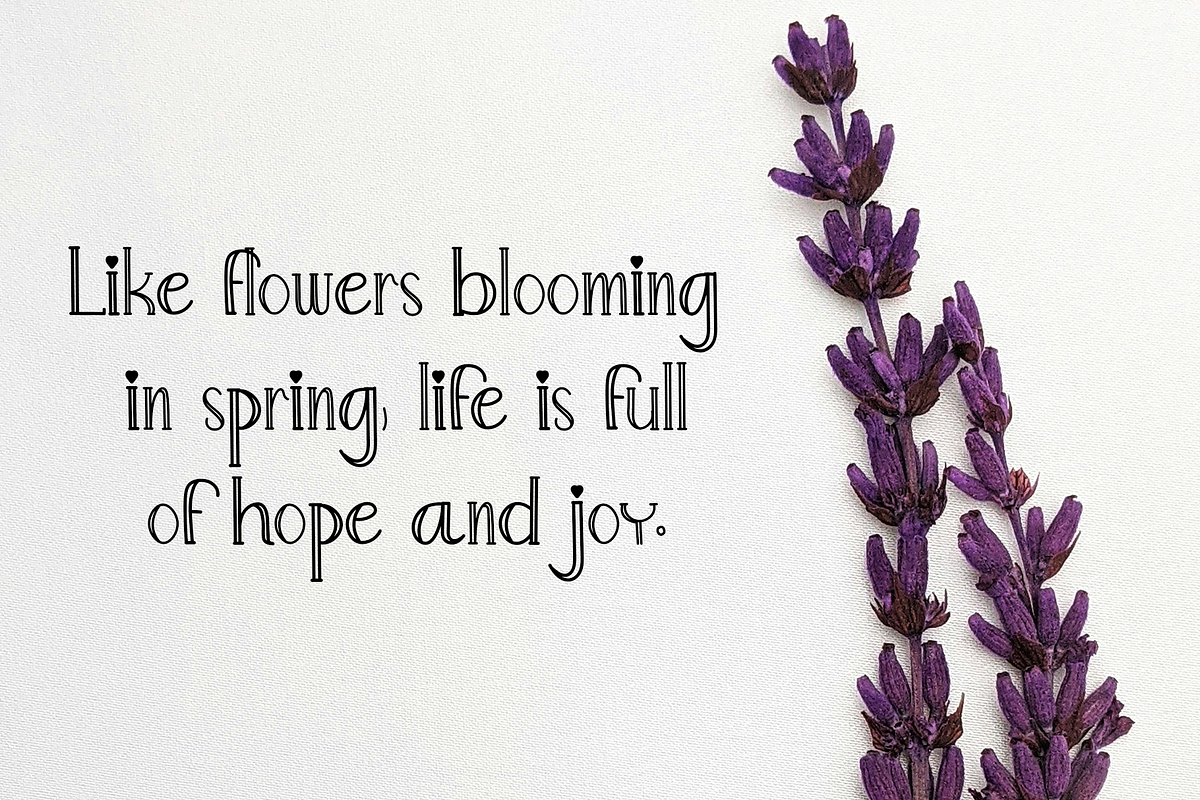 Flowers, a Handwritten Font by InermediaSTUDIO (Photo 8 of 8)