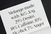 Melange - Serif Font Family, a Serif Font by Dauum Works (Thumbnail 5 of 14)
