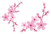 Vector Cherry Blossom Flowers, an Illustration by Sarah Hearts (Thumbnail 2 of 3)